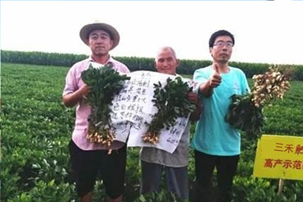 庆阳优良双效脲铵厂家