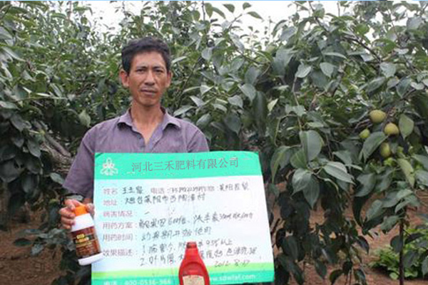 三门峡优良氨基酸含钾氮肥厂家