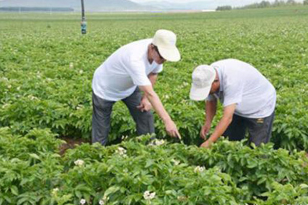 吕梁优良双效脲铵公司