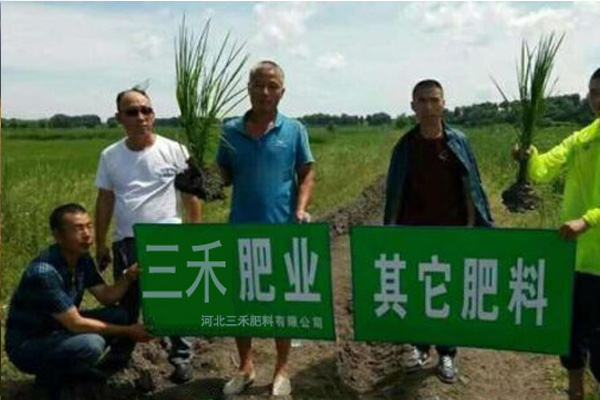 汉中优良纳米碳硫素厂家