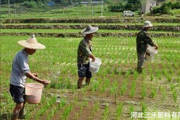 吕梁优良双效脲铵公司