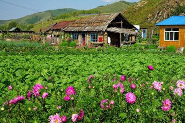 聊城优良纳米碳硫素厂家