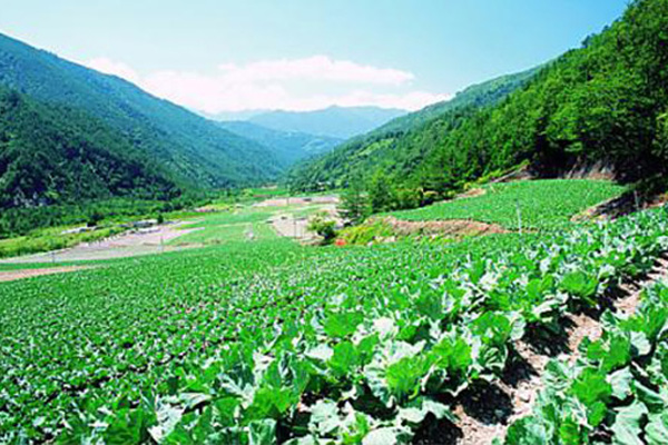 天水优良纯硫基双效脲铵价格