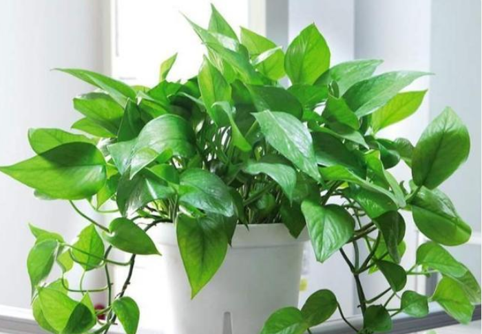 环球UG官网 环球UG官网