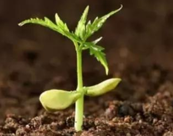 环球UG官网,环球UG官网,中农三禾