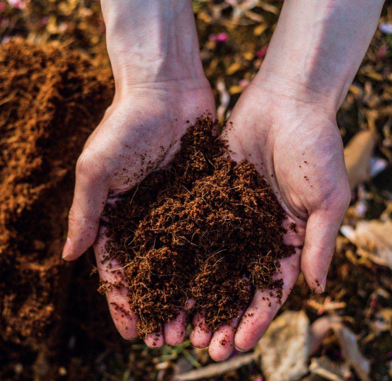 环球UG官网 环球UG官网