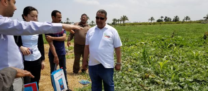 颗粒水溶肥;可咖因·硫素;环球UG官网