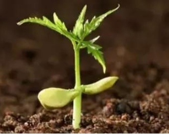 中农三禾 中农三禾