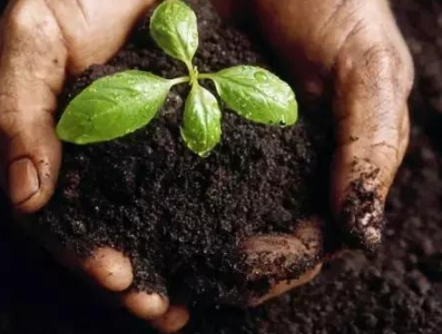 环球UG官网,环球UG官网,中农三禾 环球UG官网,环球UG官网,中农三禾