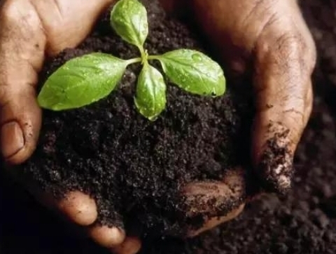 环球UG官网,环球UG官网,中农三禾