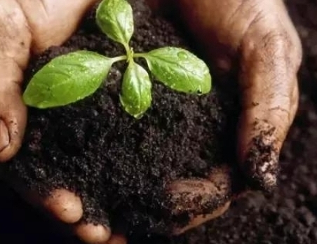 环球UG官网,环球UG官网,中农三禾